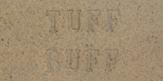 Aardvark Clay's Tuff Buff